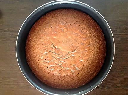 recette Gateau au chocolat a la danette