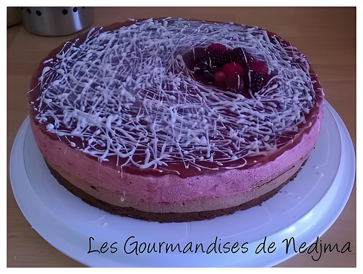 recette Bavarois fruits rouges et chocolat