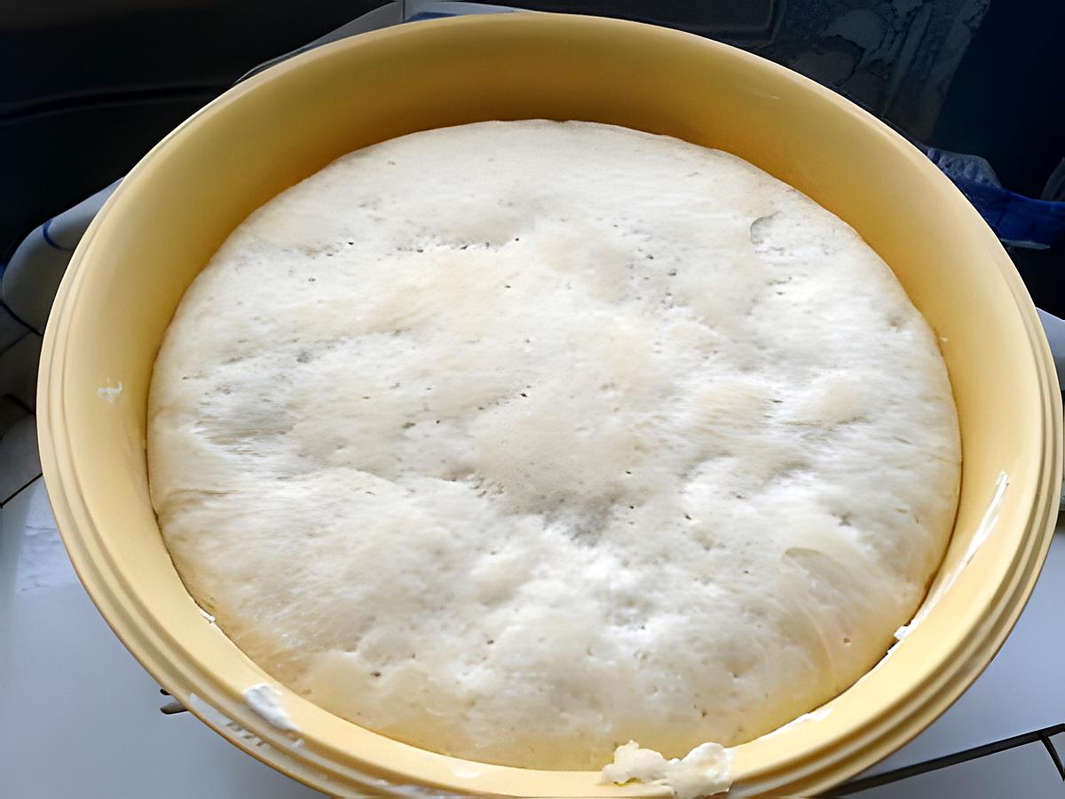 recette Pâte a pizza