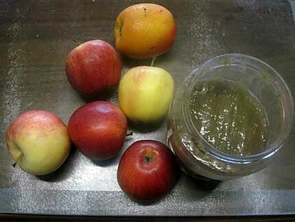 recette Compote de pommes. rhubarbe au micro-ondes.