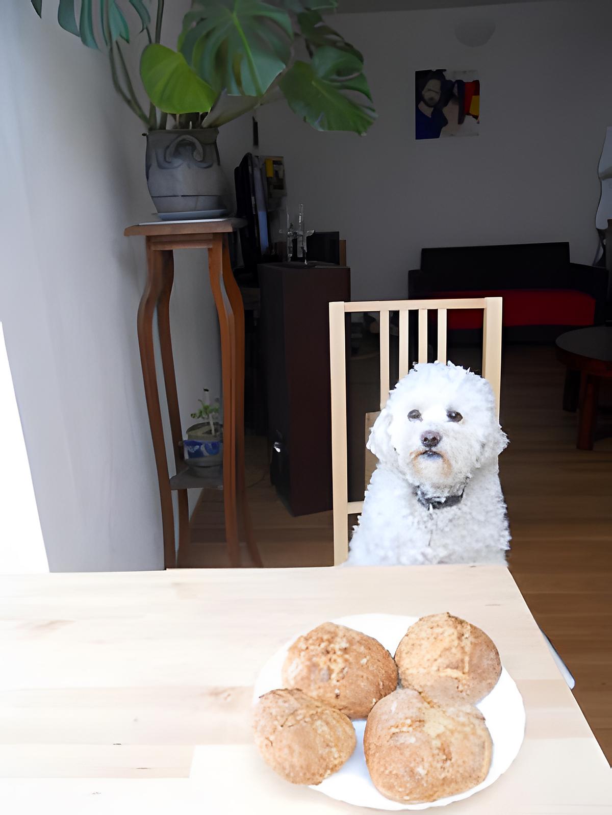 recette PAIN IRLANDAIS AUX POMMES DE TERRE (BOXTY)