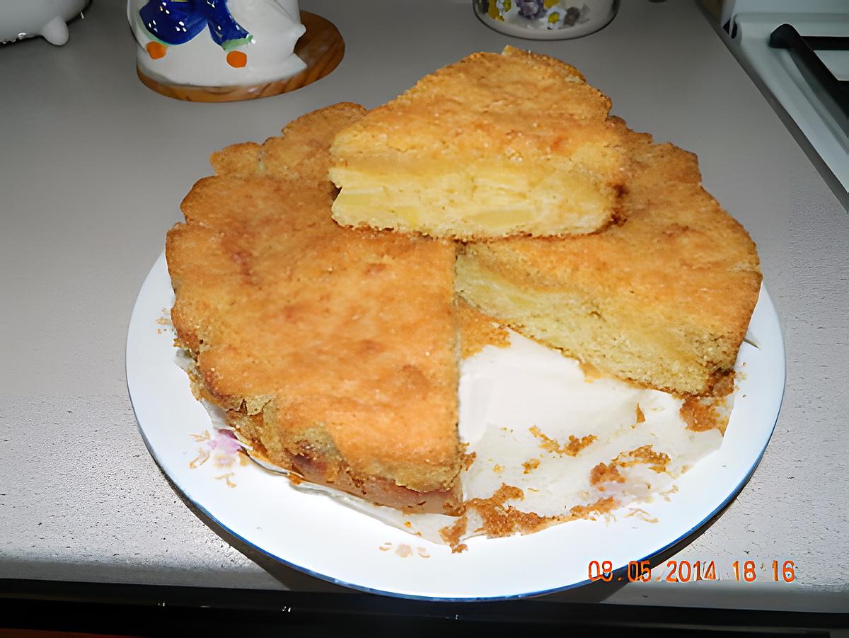 recette Gâteau moelleux aux pommes et croustillant noix de coco