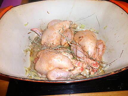 recette coquelets ou poussins au herbes