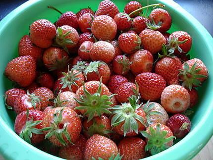 recette tarte aux fraises