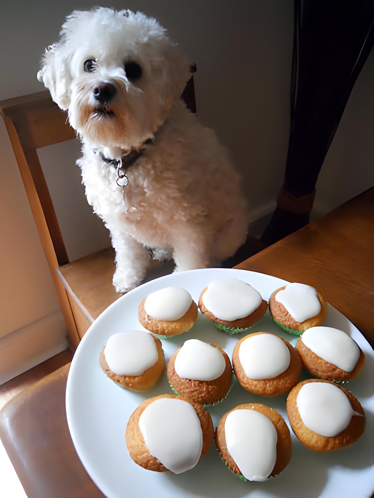 recette CUP CAKES AU CITRON d'ELSA