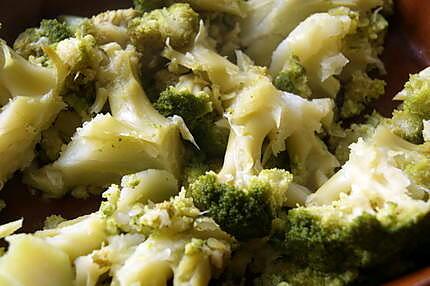 recette Gratin de brocolis au maroilles
