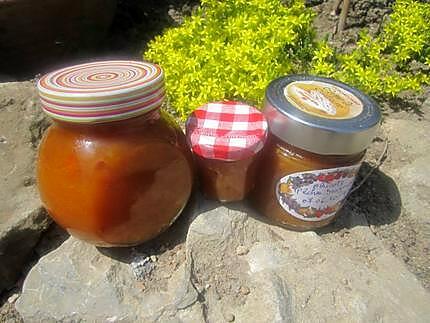 recette Confiture abricots. pêches. brugnons.