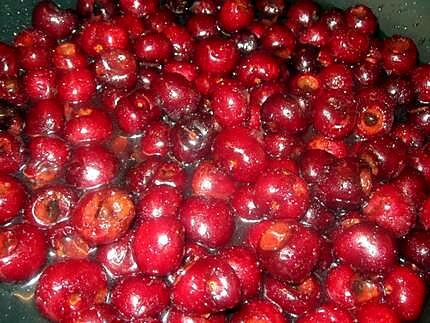 recette Confiture de cerises.