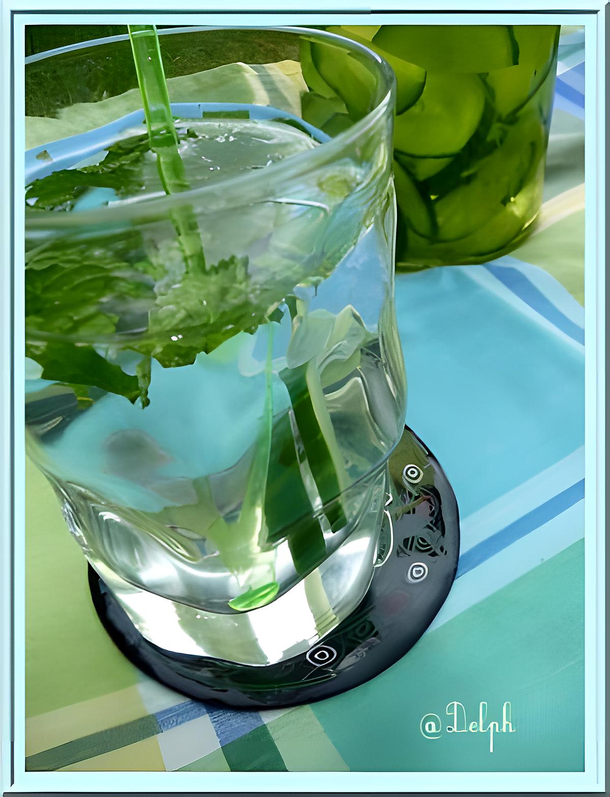 recette Detox water : concombre/menthe