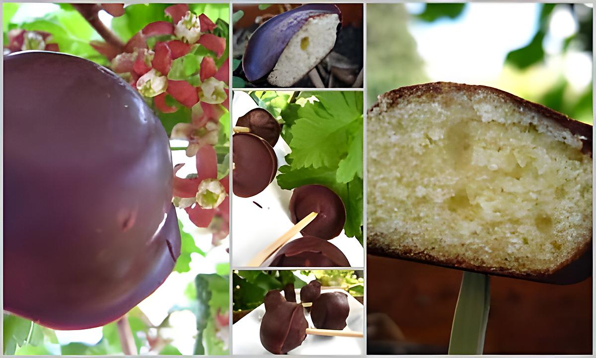 recette Bonbons biscuités au chocolat