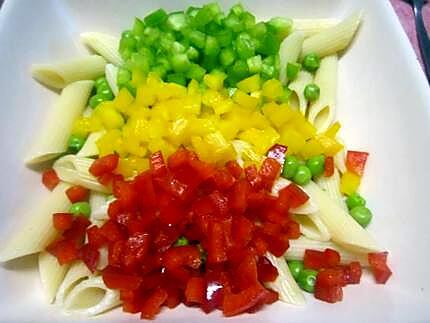 recette Pâtes penne en salade et ces légumes.