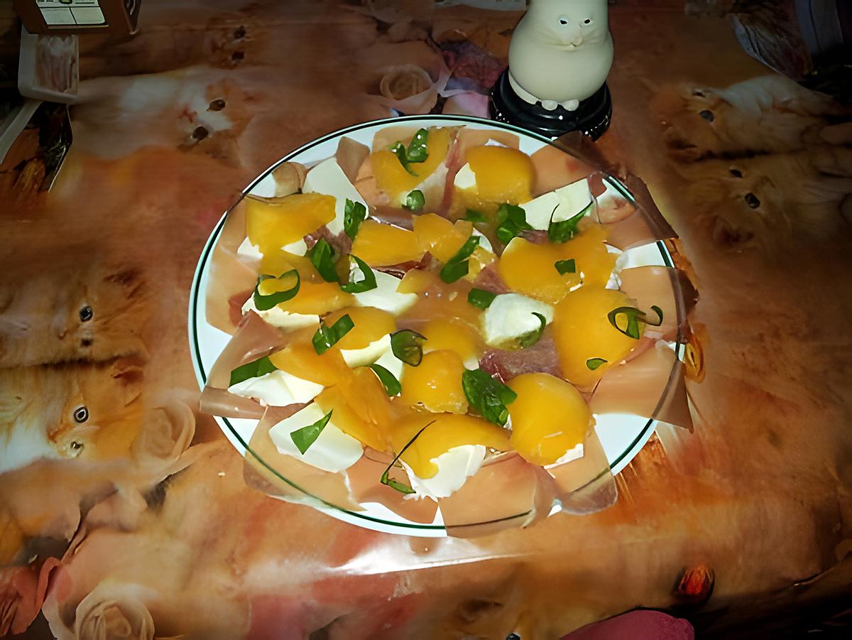 recette melon et mozzarella au basilic frais