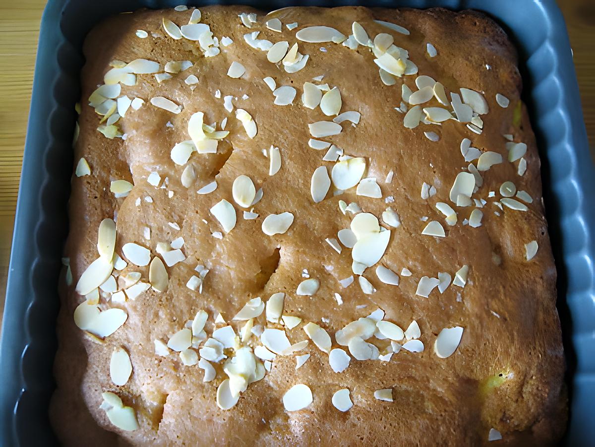 recette Gâteau raipde aux pommes