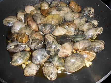 recette SAUCE AU THON ET VONGOLE