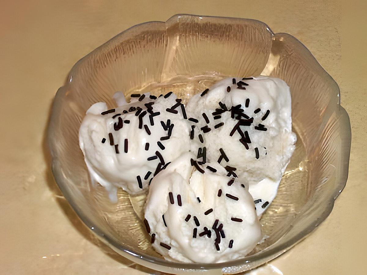 recette glace à la noix de coco sans sorbetière