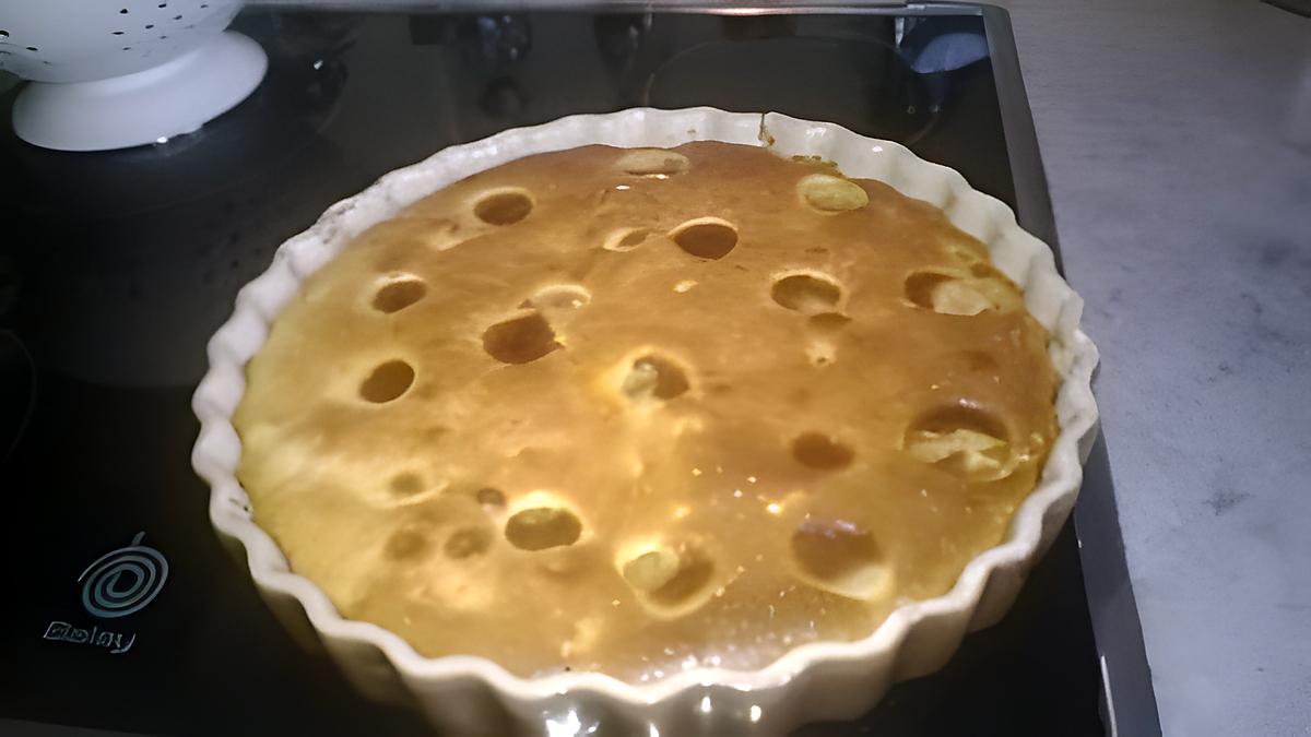 recette clafoutis aux mirabelles et abricots