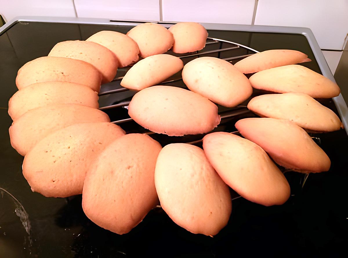 recette MADELEINES MIEL DE CAFEIER