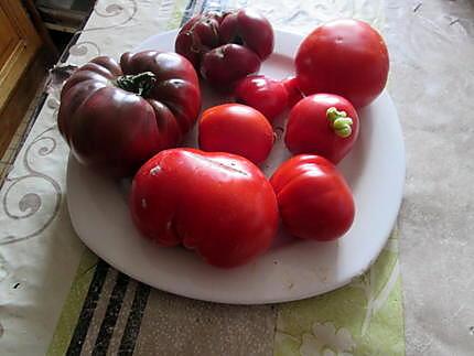 recette assiette tomate  mozarella ;;recette revisitée de jeanmerode  et ds le nord