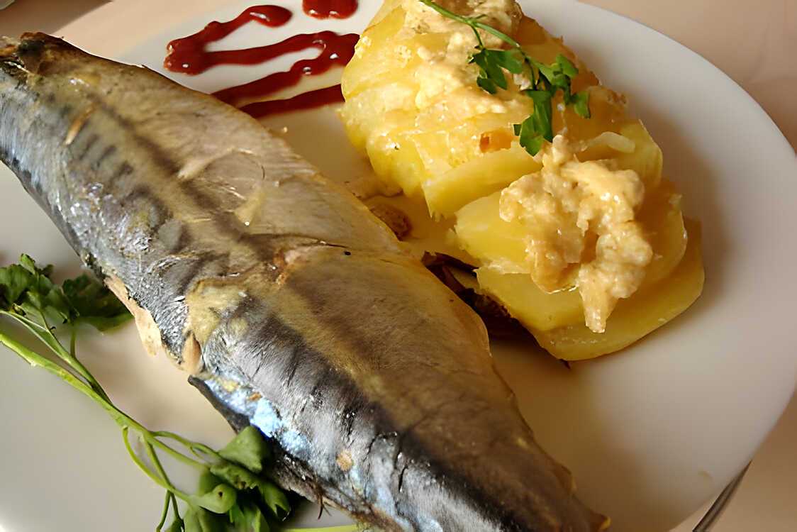 Recette de Maquereaux au four par sanabel