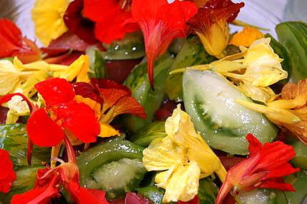 recette Salade de tomates multicolores