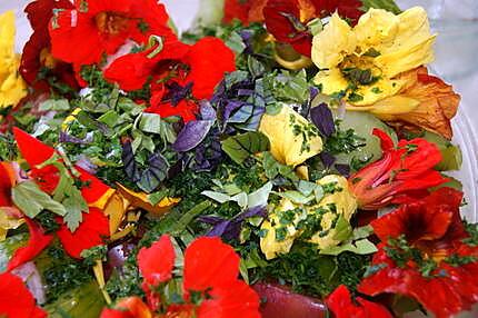 recette Salade de tomates multicolores