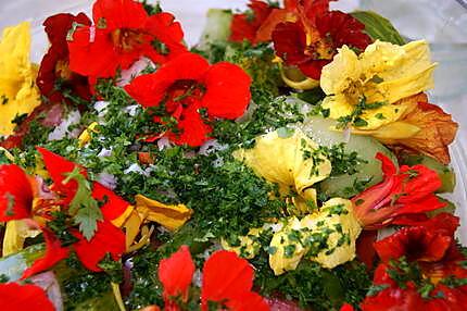 recette Salade de tomates multicolores