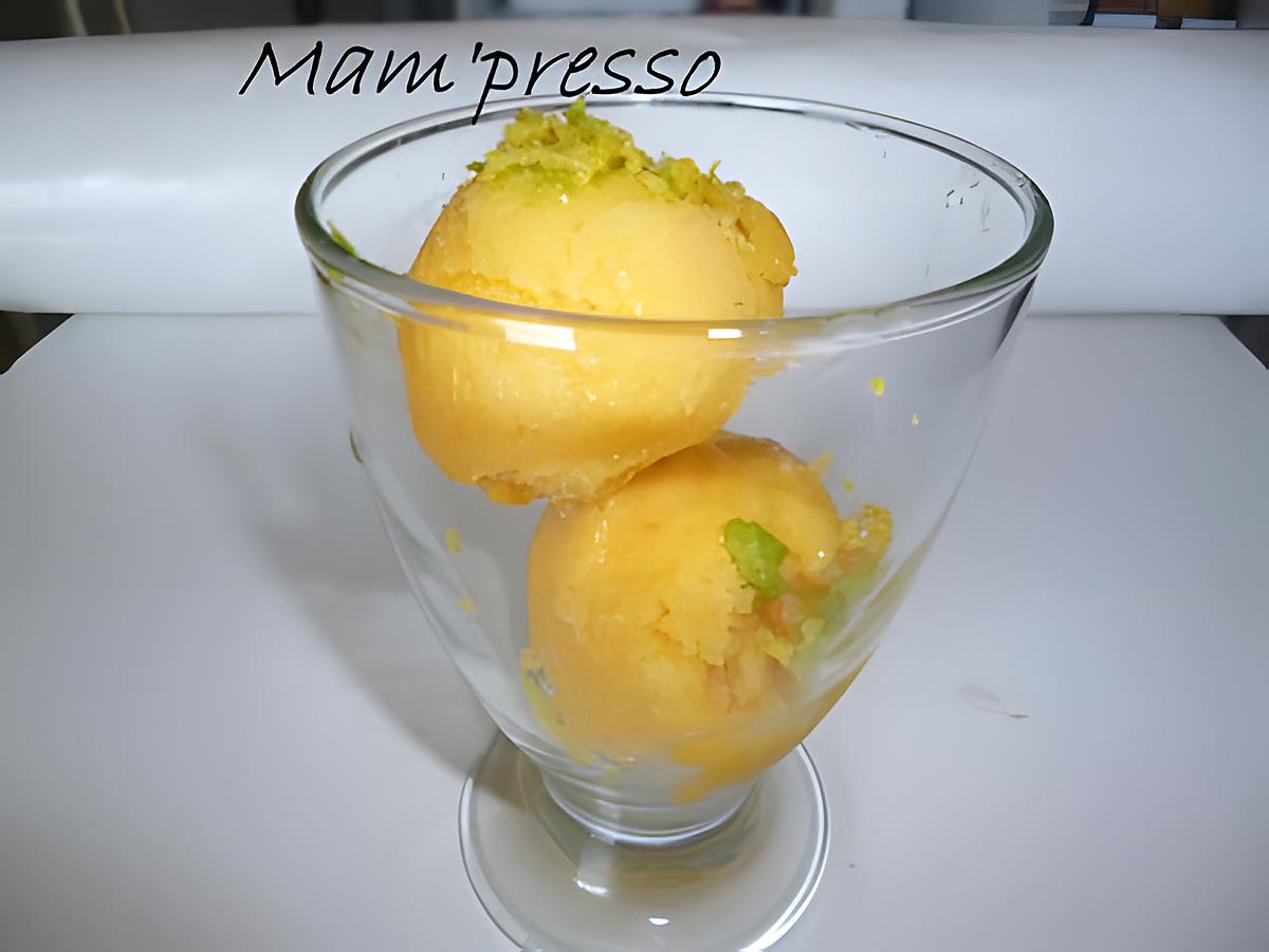 recette Sorbet mangue, orange, pamplemousse