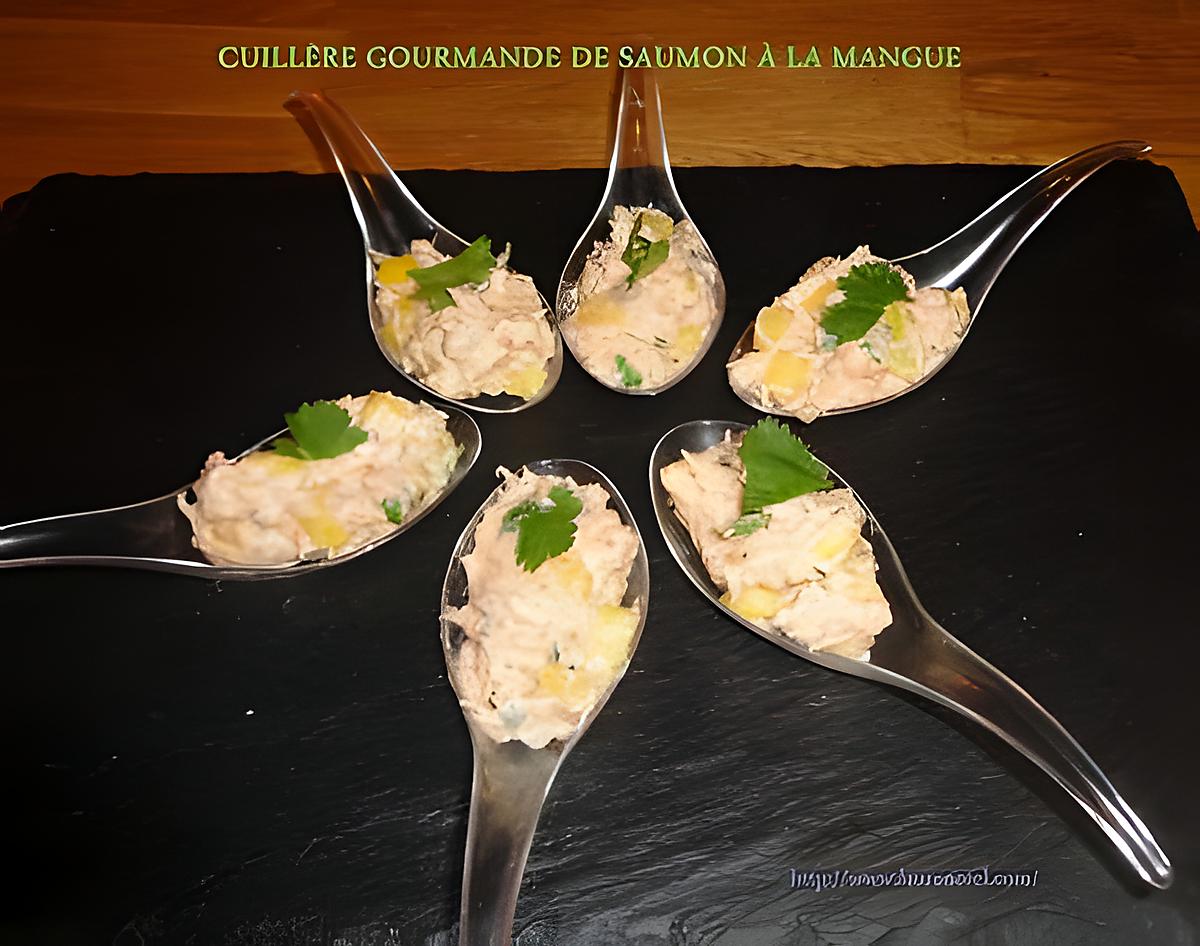 recette CUILLÈRE GOURMANDE DE SAUMON À LA MANGUE