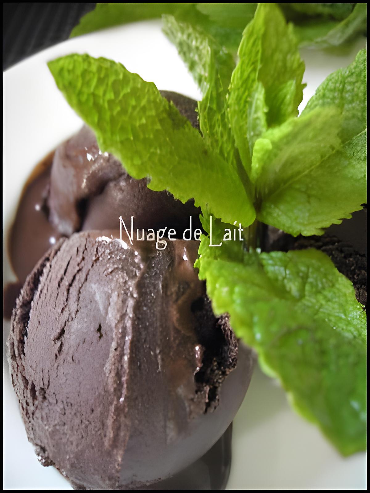 recette Sorbet Chocolat/Menthe