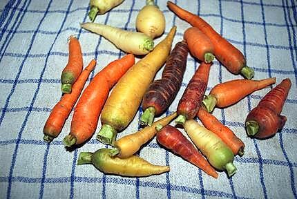 recette carottes rôties au miel et romarin