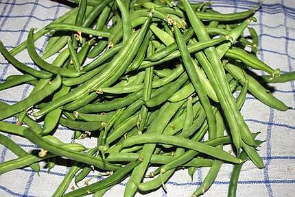 recette conserves d'haricots verts