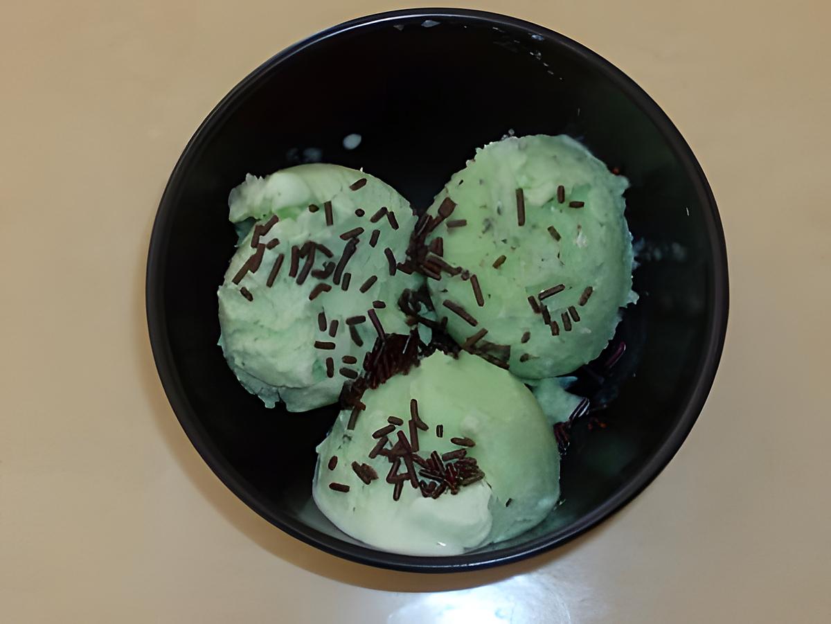 recette Glace à la menthe poivrée (sans sorbetière)