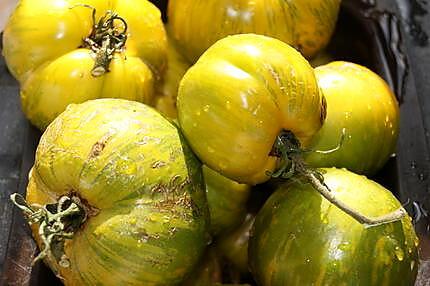 recette Coulis de tomates vertes (variété  vertes zébrées)