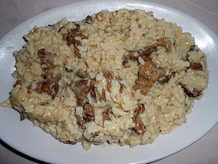recette RISOTTO AUX GIROLLES