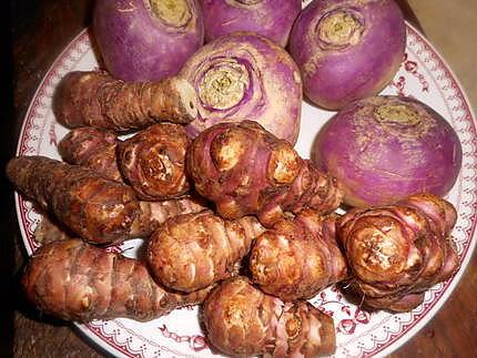 recette Canette roti aux navets et topinambour