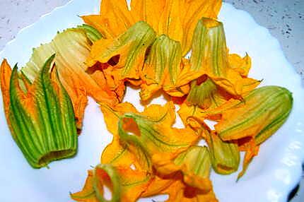 recette Beignets de fleurs de courgettes(basée sur plusieurs de vos recettes)