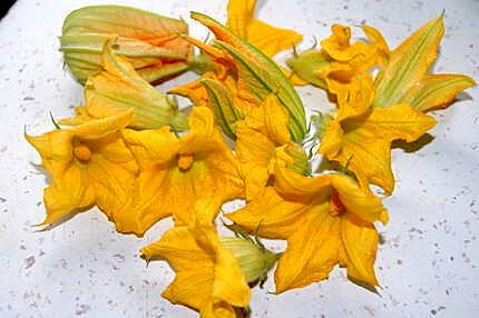 recette Beignets de fleurs de courgettes(basée sur plusieurs de vos recettes)