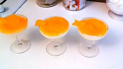 recette Panna cotta vanille et son coulis de mangue