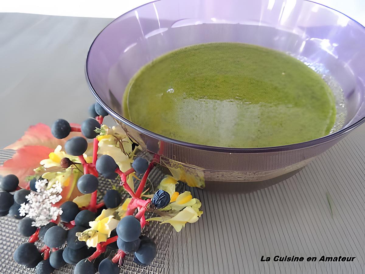 recette Pesto aux fanes de carottes