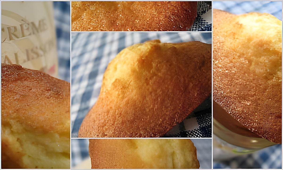 recette Madeleines à la crème de Calisson