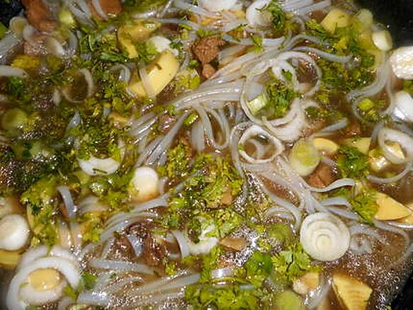 recette Soupe vietnamienne au canard et pousses de bambou