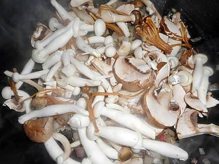 recette Rognons d agneau aux champignons saveurs d asie