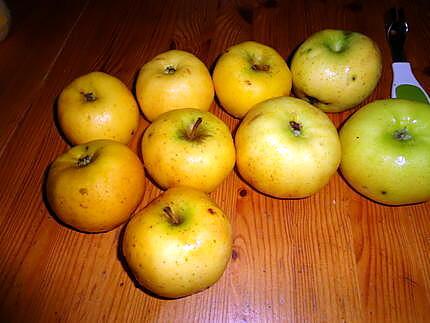 recette pommes au four " DE ma truffe 2 "