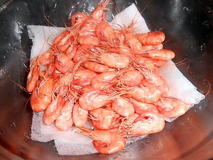 recette PETITE PECHE DE CREVETTES