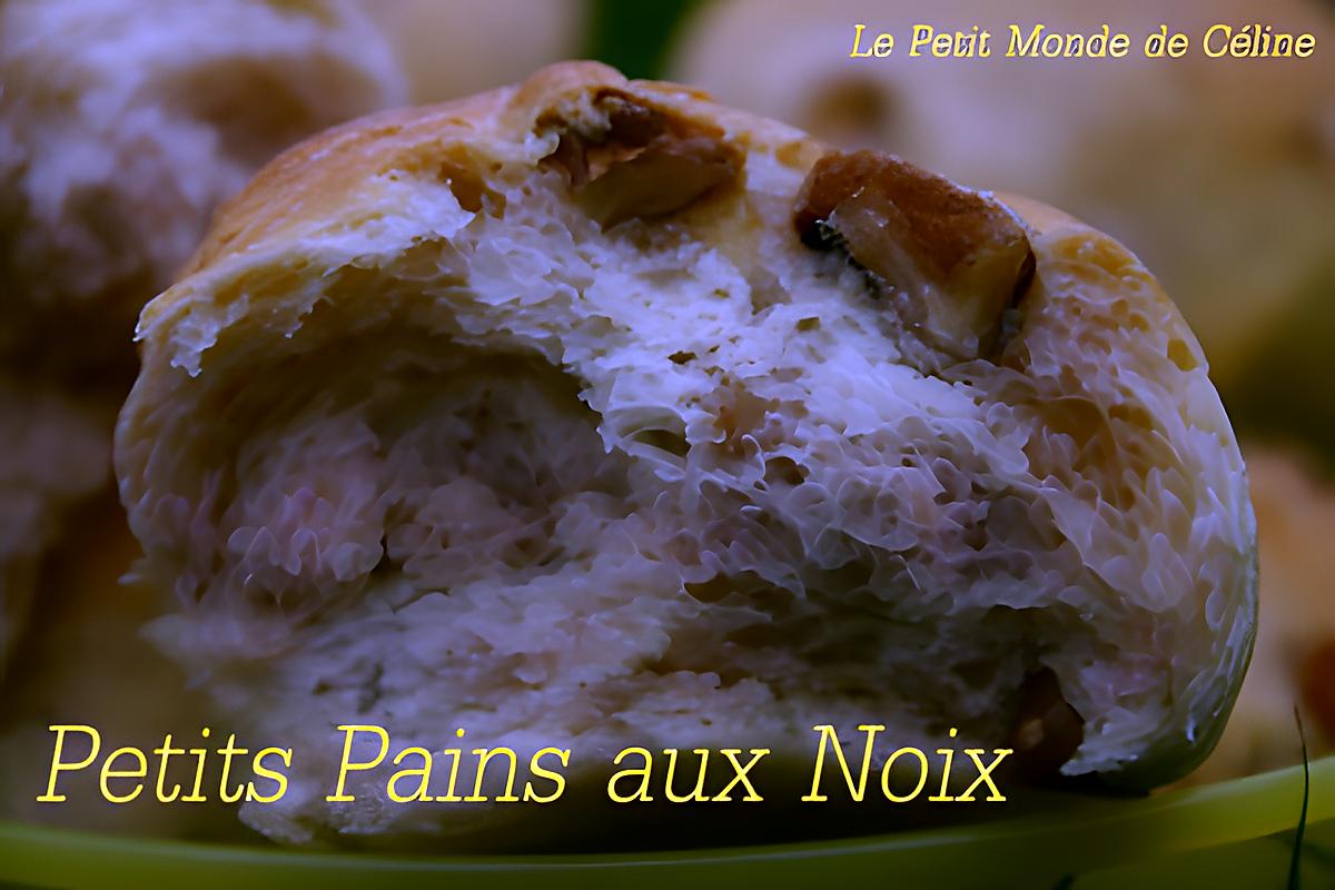 recette °° Petits pains aux noix au robot°°