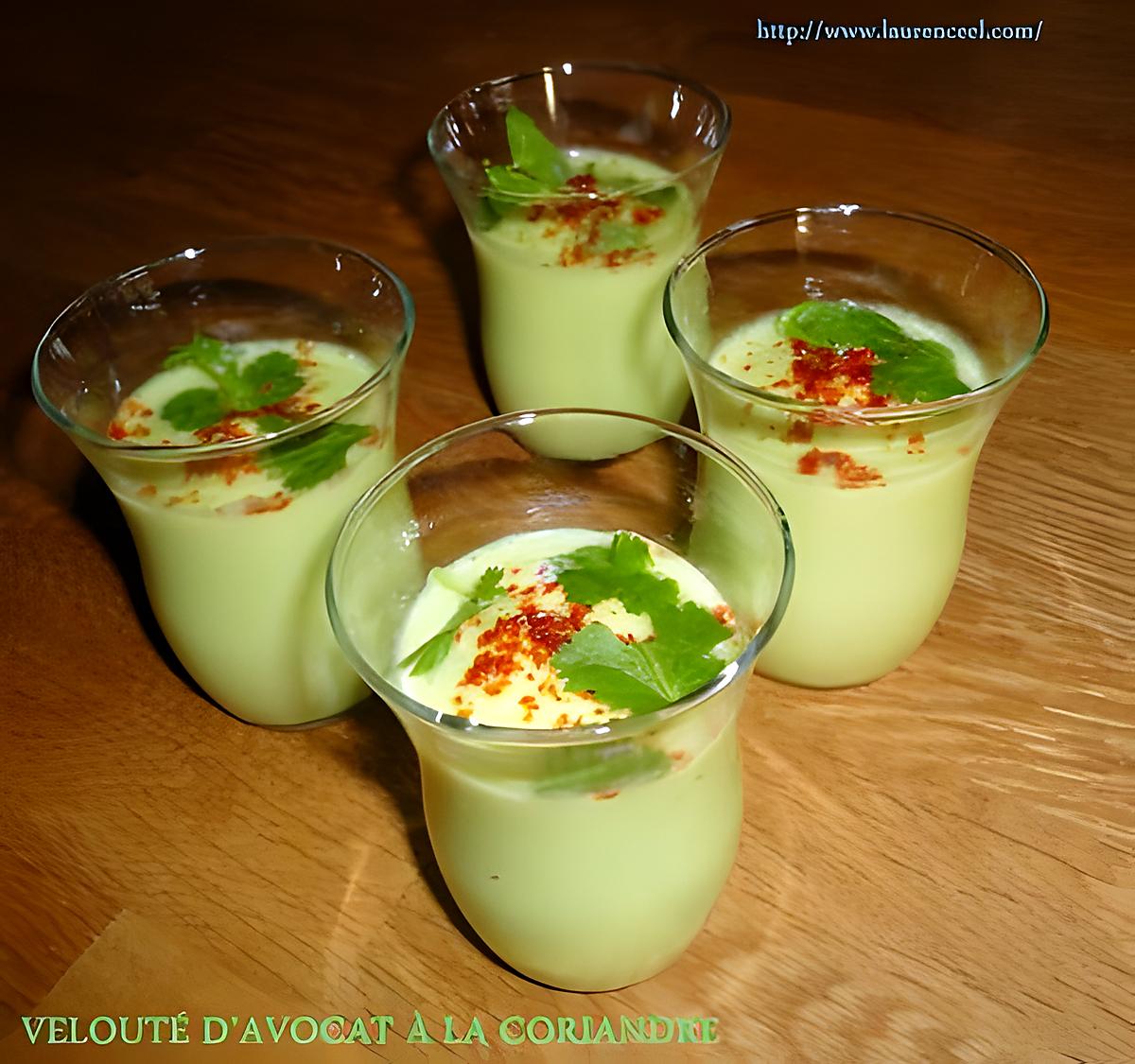 recette VELOUTÉ D’AVOCAT À LA CORIANDRE