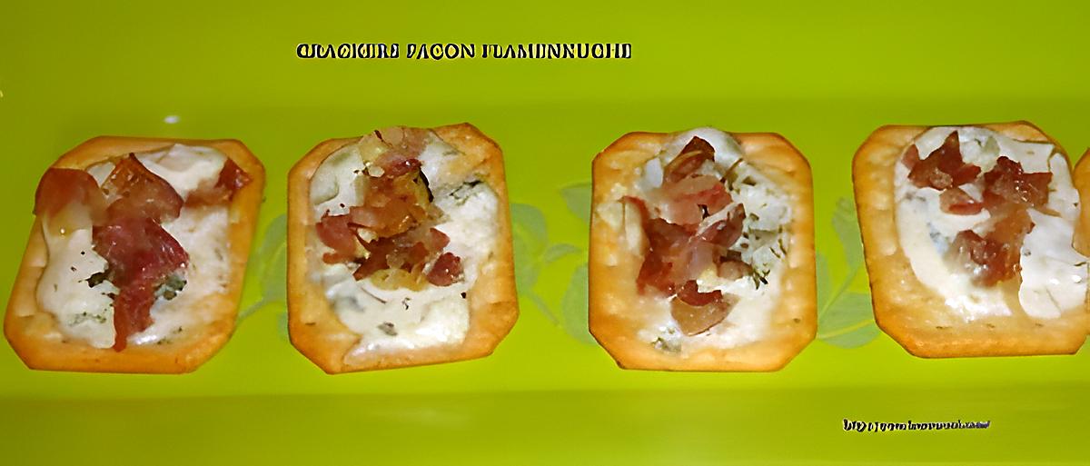 recette CRACKERS FAÇON FLAMENKUCHE