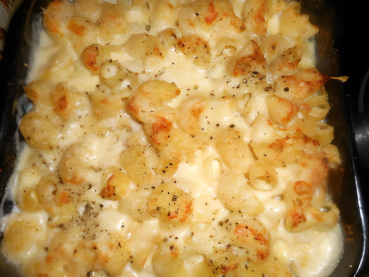 recette Gratin de pipe rigate aux trois fromages