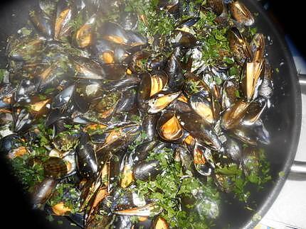 recette Moule de bouchot au bleu d auvergne