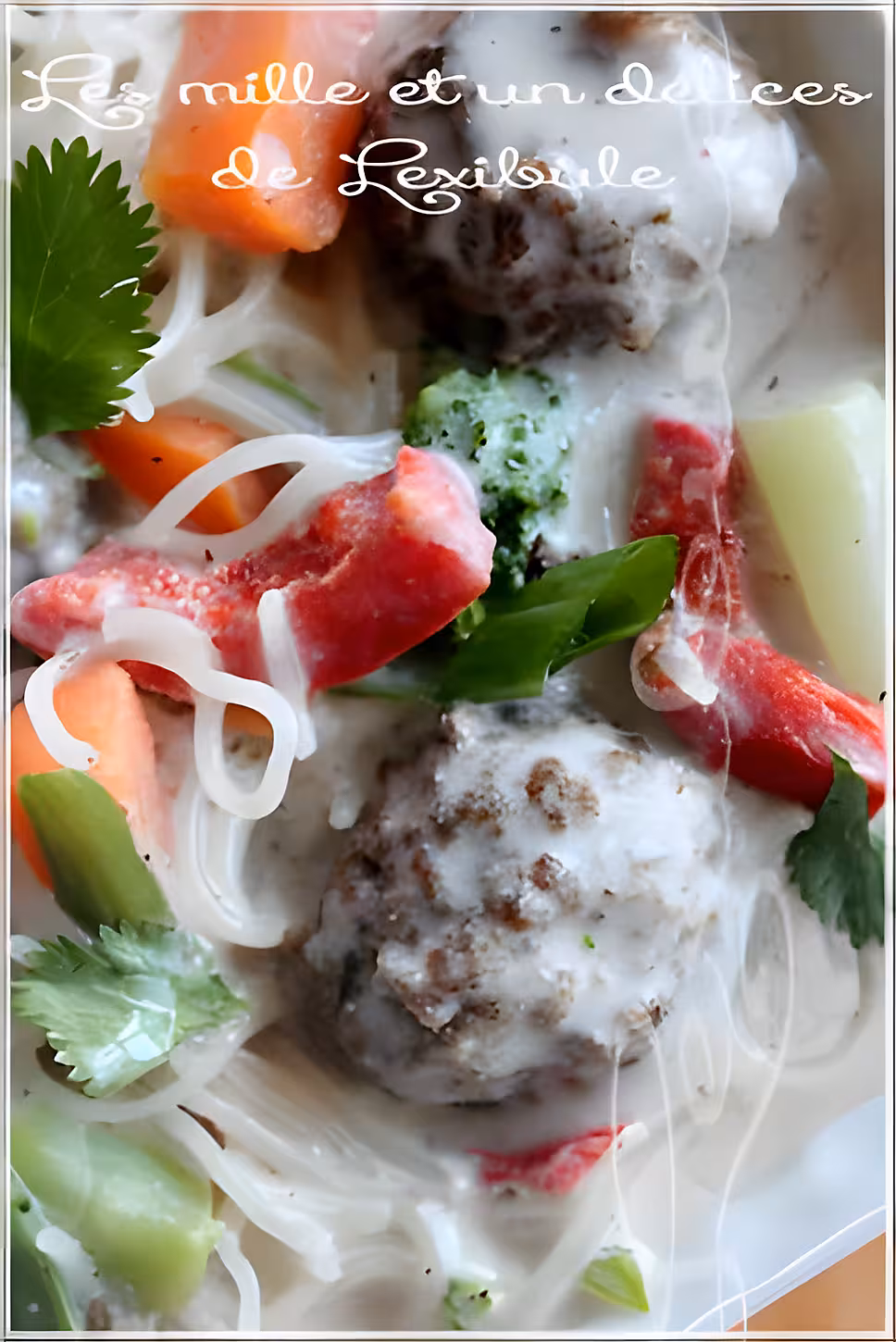 recette ~Soupe-repas vietnamienne~